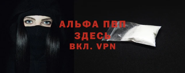 стафф Инта