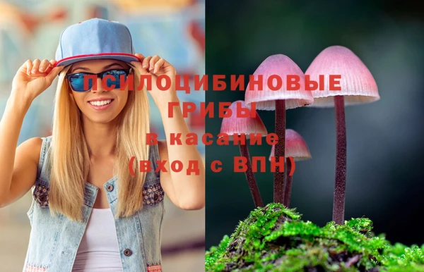 стафф Инта