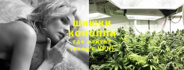 стафф Инта